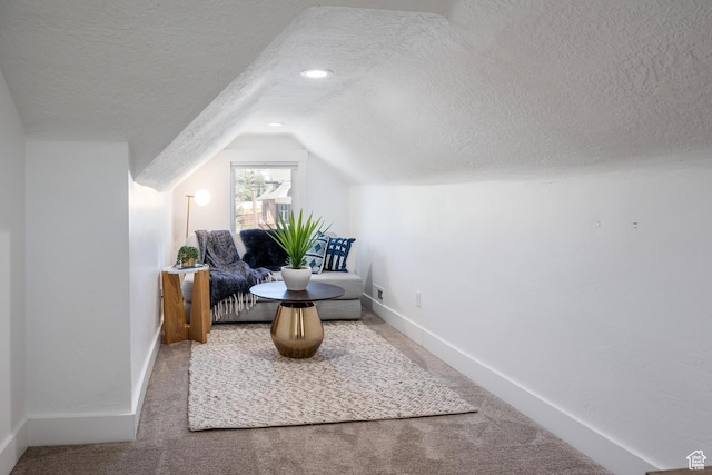 334 N C St, Salt Lake City, UT 84103 - sitting room with a textured ceiling, lofted ceiling, and carpet flooring