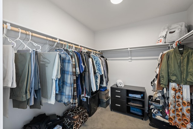 6523 W Bridge Maple Ln S, West Jordan, UT 84081 - spacious closet with carpet