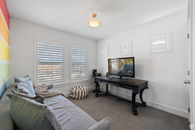 6523 W Bridge Maple Ln S, West Jordan, UT 84081 - carpeted living area with baseboards