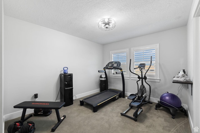6523 W Bridge Maple Ln S, West Jordan, UT 84081 - exercise room with a textured ceiling and carpet