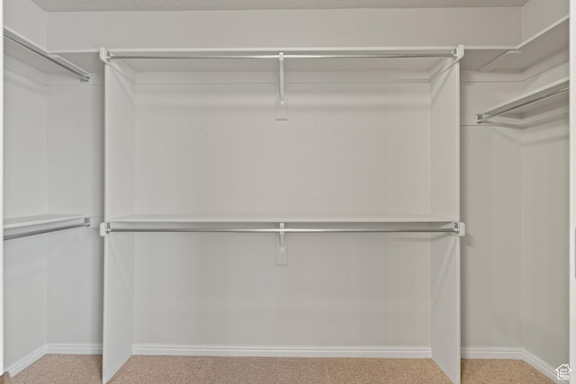 2794 W Harker Ridge Cv, Salt Lake City, UT 84129 - walk in closet with carpet