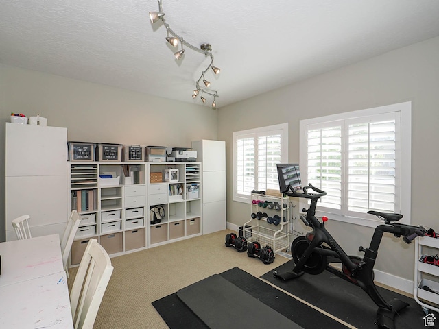 618 E Beaumont Way S, Draper, UT 84020 - exercise room featuring carpet and a textured ceiling