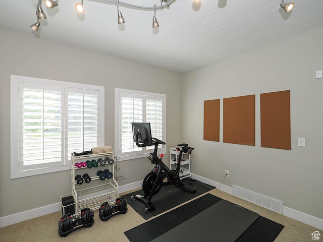 618 E Beaumont Way S, Draper, UT 84020 - workout room with carpet floors