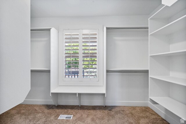 809 W 1320 N, West Bountiful, UT 84087 - walk in closet featuring carpet flooring