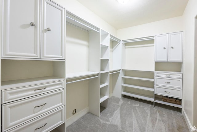 897 W Pfeifferhorn Dr, Alpine, UT 84004 - spacious closet with light carpet