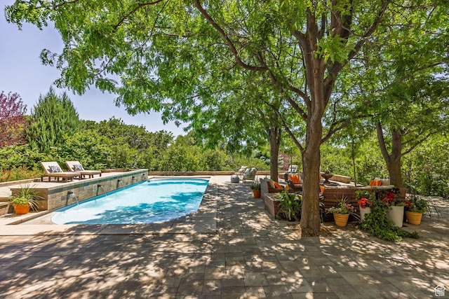 897 W Pfeifferhorn Dr, Alpine, UT 84004 - swimming pool with a patio area, an outdoor hangout area, and view of wooded area