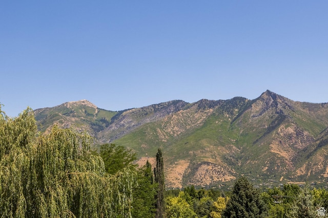 897 W Pfeifferhorn Dr, Alpine, UT 84004 - view of mountain backdrop