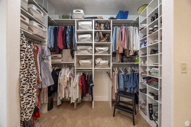 897 W Pfeifferhorn Dr, Alpine, UT 84004 - spacious closet featuring carpet