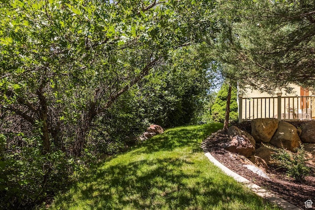 897 W Pfeifferhorn Dr, Alpine, UT 84004 - view of grassy yard