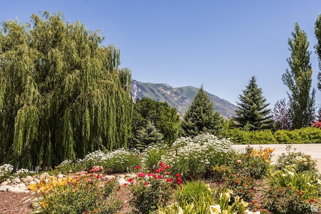 897 W Pfeifferhorn Dr, Alpine, UT 84004 - view of mountain background