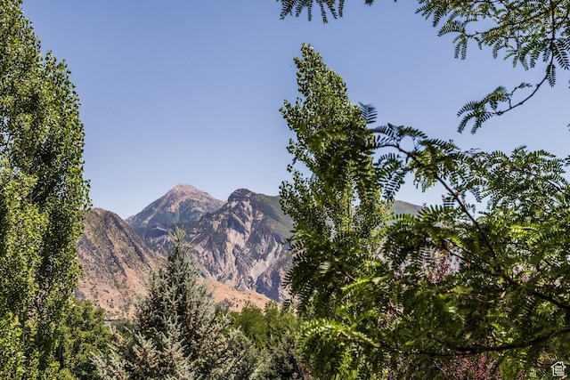 897 W Pfeifferhorn Dr, Alpine, UT 84004 - mountain view