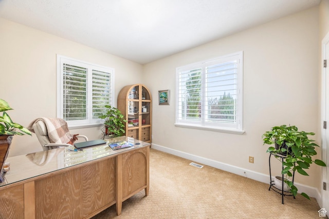 897 W Pfeifferhorn Dr, Alpine, UT 84004 - home office featuring light colored carpet and baseboards