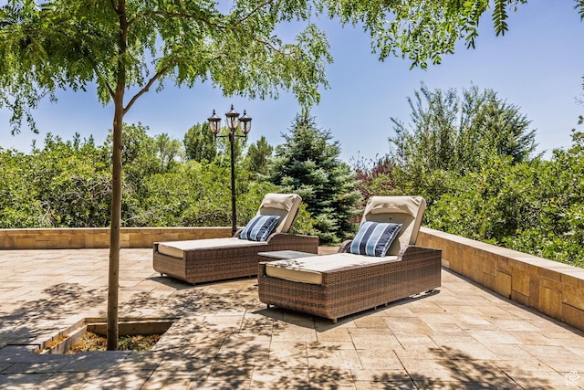 897 W Pfeifferhorn Dr, Alpine, UT 84004 - view of patio