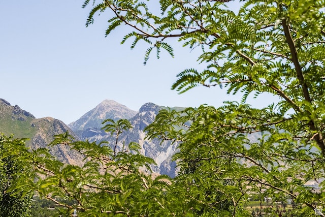 897 W Pfeifferhorn Dr, Alpine, UT 84004 - view of mountain backdrop