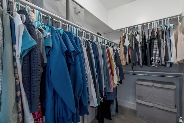 2460 N 2825 W, Plain City, UT 84404 - walk in closet featuring carpet floors