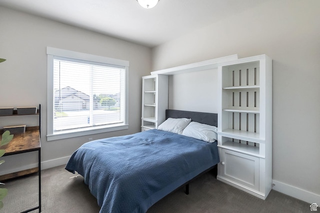 2460 N 2825 W, Plain City, UT 84404 - bedroom with dark carpet