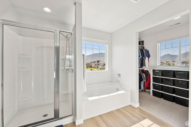 1346 W 1250 S, Springville, UT 84663 - bathroom with a stall shower, a bath, wood finished floors, a walk in closet, and recessed lighting