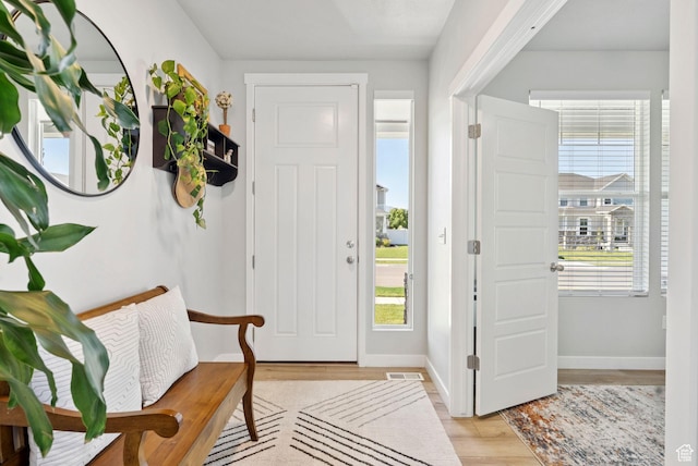 1346 W 1250 S, Springville, UT 84663 - foyer featuring light wood-style flooring and baseboards