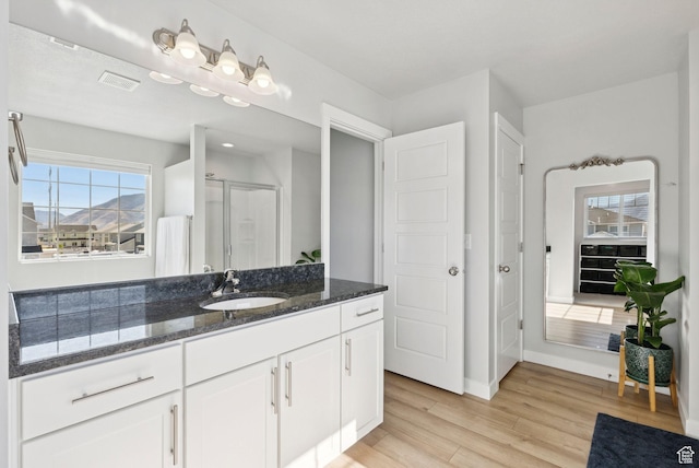 1346 W 1250 S, Springville, UT 84663 - full bathroom with wood finished floors, a shower stall, vanity, and plenty of natural light