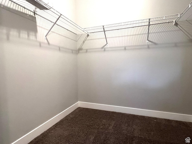 14652 S Astin Ln Unit U102, Herriman, UT 84096 - spacious closet with dark colored carpet
