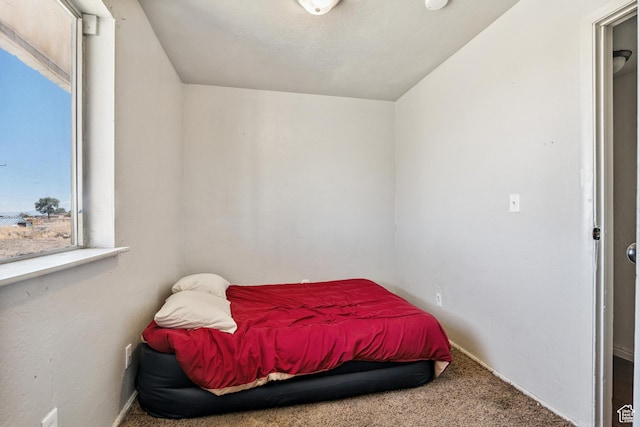 7154 N 3000 W, Delta, UT 84624 - photo 17