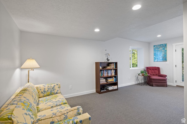 249 S Parkview Dr E, Park City, UT 84098 - living area with carpet flooring, a textured ceiling, and recessed lighting