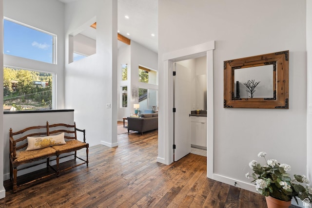 249 S Parkview Dr E, Park City, UT 84098 - hallway featuring healthy amount of natural light, hardwood / wood-style flooring, a high ceiling, and recessed lighting