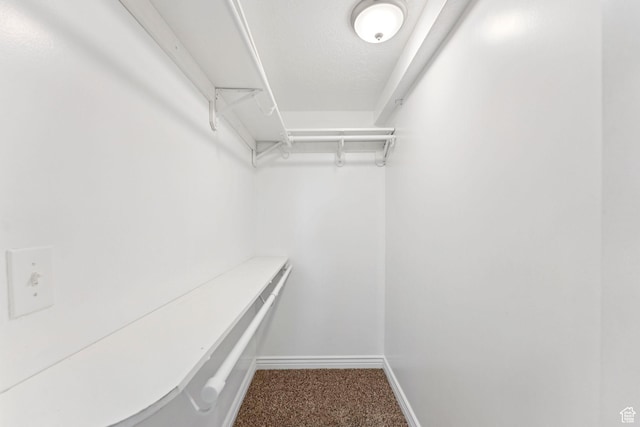 631 E Clearwater Dr, Layton, UT 84041 - spacious closet with carpet floors