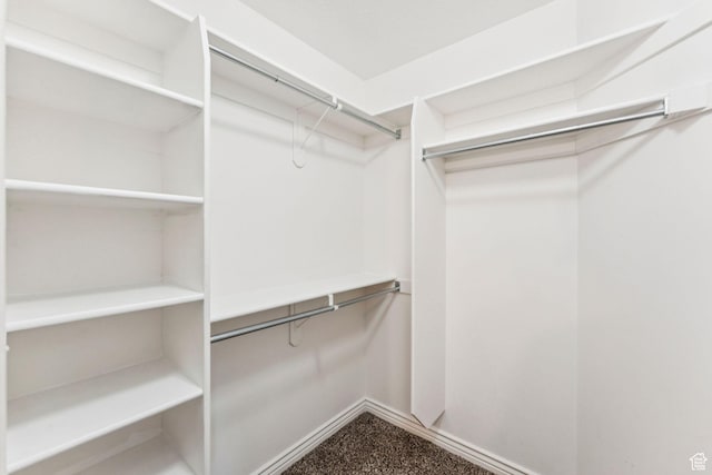 631 E Clearwater Dr, Layton, UT 84041 - view of spacious closet