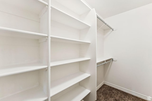 631 E Clearwater Dr, Layton, UT 84041 - walk in closet with carpet