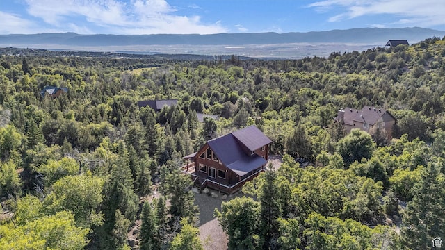 14961 N 12740 E, Mount Pleasant, UT 84647 - view of subject property featuring a mountainous background