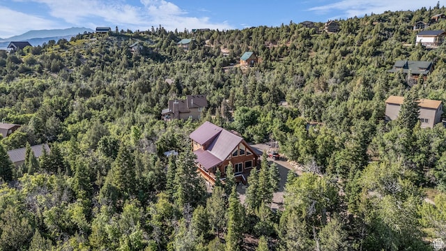 14961 N 12740 E, Mount Pleasant, UT 84647 - aerial view of a forest