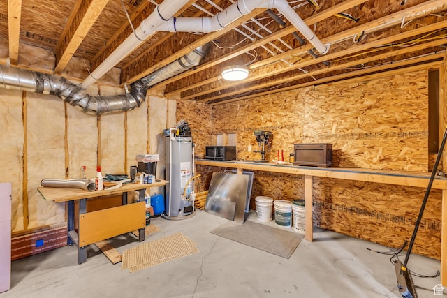 14961 N 12740 E, Mount Pleasant, UT 84647 - unfinished basement with gas water heater