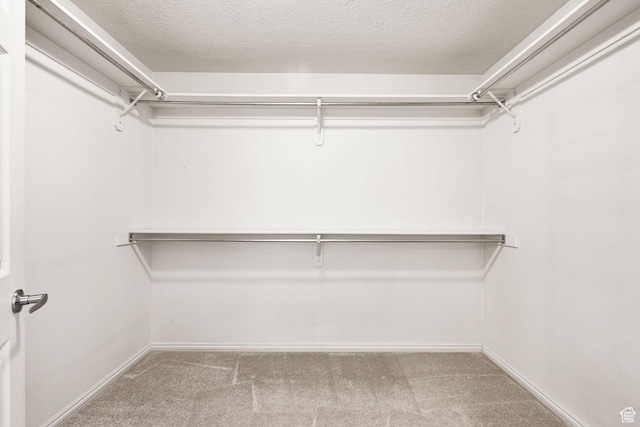 1339 Alpine Way, Provo, UT 84606 - walk in closet with carpet floors