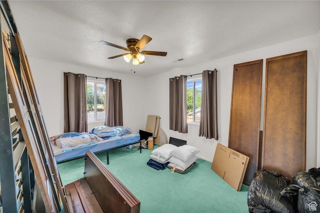 331 W 1910 S, Hurricane, UT 84737 - bedroom featuring multiple windows, carpet, ceiling fan, and a textured ceiling