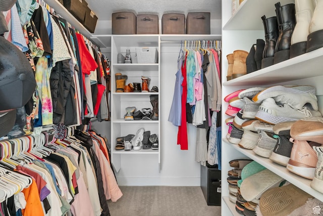 4982 N Goosefoot Dr Unit 51, Eagle Mountain, UT 84005 - walk in closet with carpet flooring