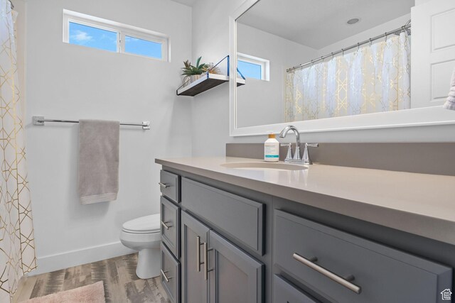 4982 N Goosefoot Dr Unit 51, Eagle Mountain, UT 84005 - bathroom with vanity, plenty of natural light, wood finished floors, and a shower with shower curtain