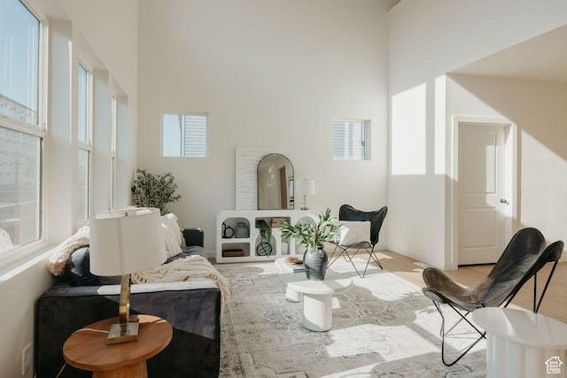 3620 N Stallion St Unit 349, Eagle Mountain, UT 84005 - living area with a towering ceiling, plenty of natural light, and light wood-style floors