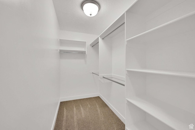 2782 W 4140 S Unit 246, Roy, UT 84067 - walk in closet featuring carpet