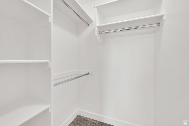 2782 W 4140 S Unit 246, Roy, UT 84067 - spacious closet with carpet flooring
