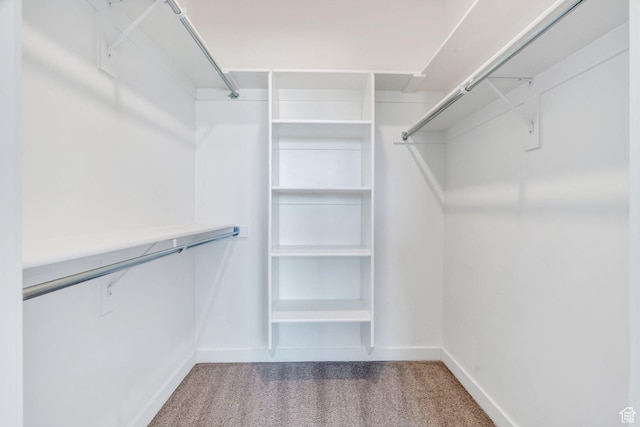 753 W Crystal Creek Rd, American Fork, UT 84003 - walk in closet with carpet
