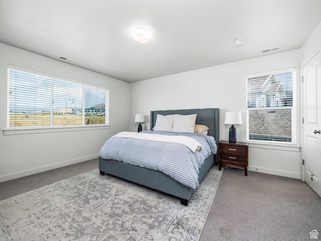 1911 N Lemongrass Dr, Saratoga Springs, UT 84045 - carpeted bedroom with baseboards