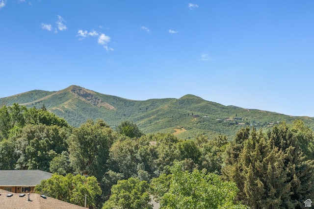 1044 S Terrace Dr E, Bountiful, UT 84010 - view of mountain background with a forest