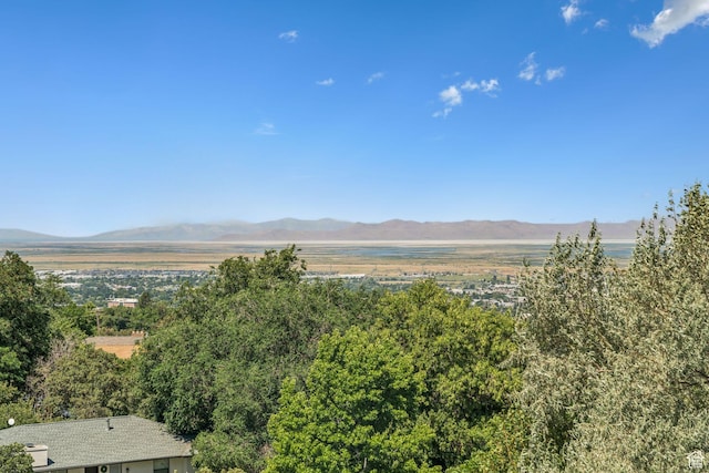 1044 S Terrace Dr E, Bountiful, UT 84010 - view of mountain backdrop