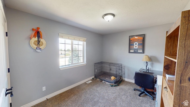 1605 W 1400 S, Vernal, UT 84078 - carpeted office with baseboards and a textured ceiling