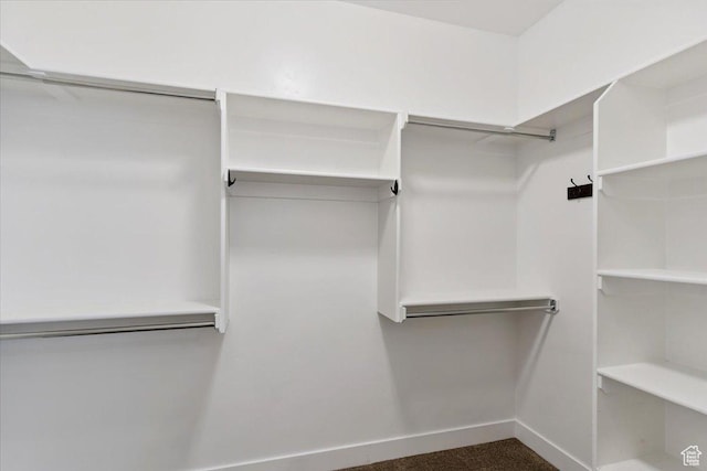 2681 E Sunshine Ct S, South Weber, UT 84405 - view of spacious closet
