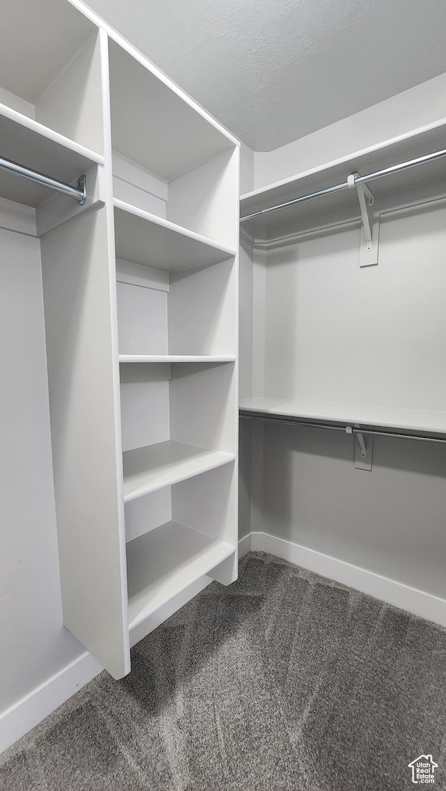 4442 W Hill Shadow Way S, Herriman, UT 84096 - walk in closet with carpet floors