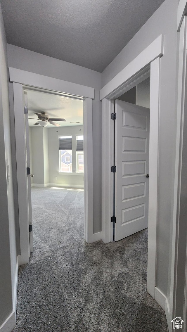 4442 W Hill Shadow Way S, Herriman, UT 84096 - hallway featuring carpet floors and baseboards