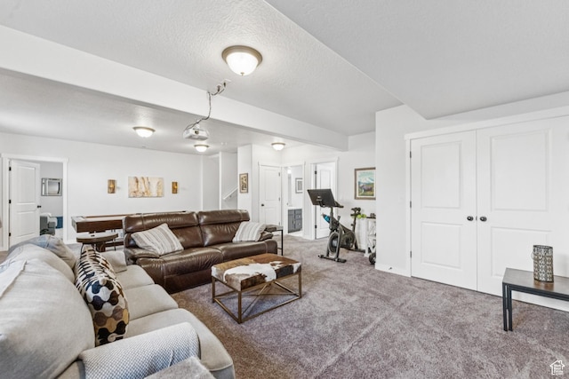 1076 S Meadow Walk Ln, Heber City, UT 84032 - view of carpeted living room