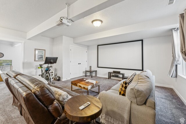 1076 S Meadow Walk Ln, Heber City, UT 84032 - home theater room with carpet flooring and a textured ceiling
